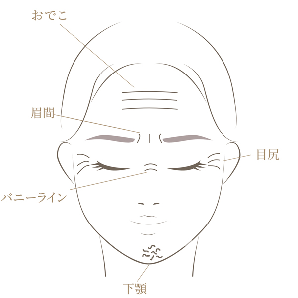 表情ジワ