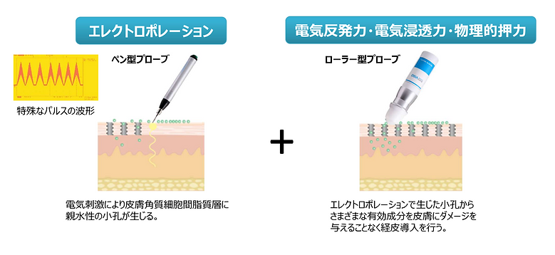 メソナJとは